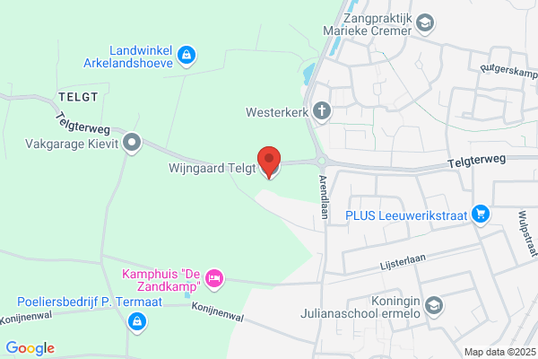 Rhebergen D