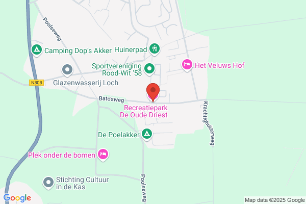 Oude Driest, De