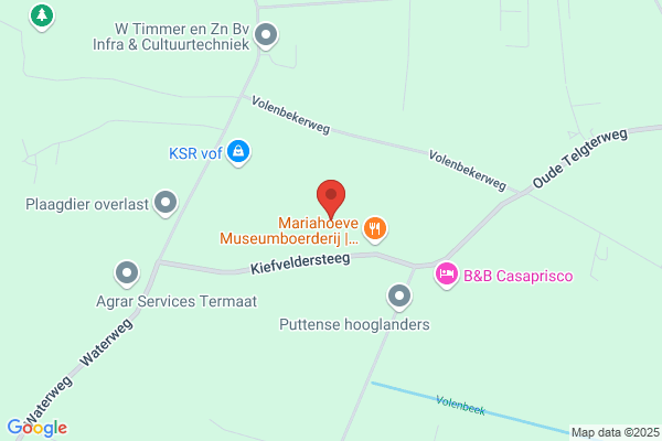 Dijk Rietdekkers Van