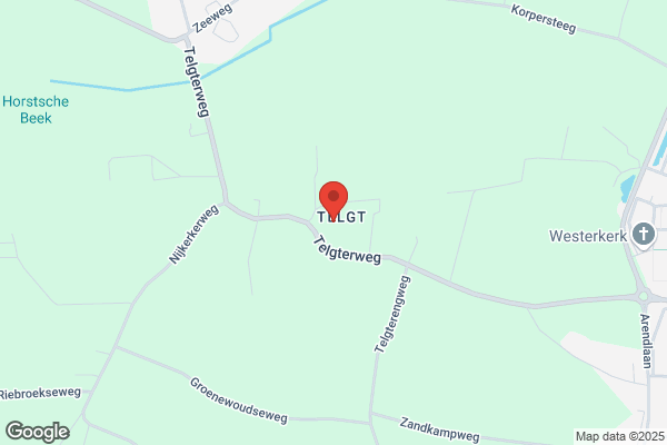 Geja