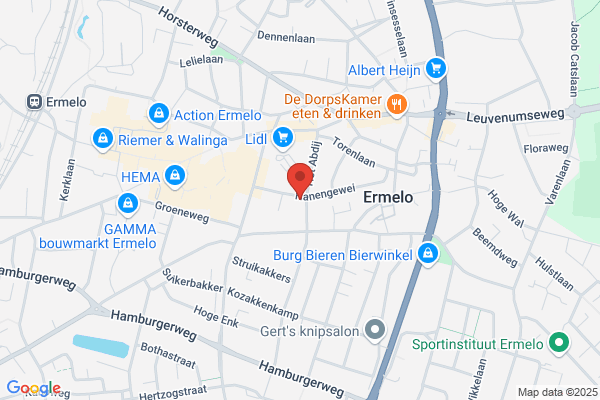 BrainActivity Psycholoog in Ermelo
