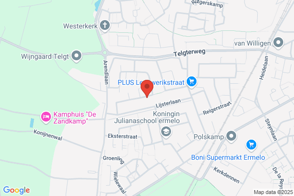 Brink, Cees Van Den
