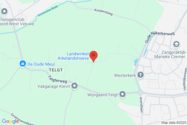 Kievitsbloem, De