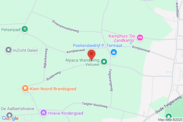 Dijkhuis, Ruud