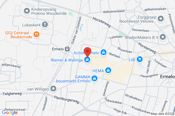 Pinel, Stichting