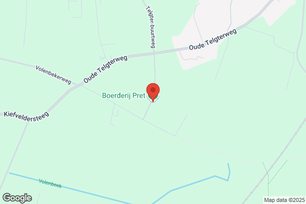 Pippeloentje, Speel-O-Theek