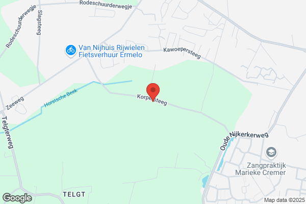 Vogelenzang
