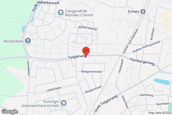 Springer En Van Leeuwen