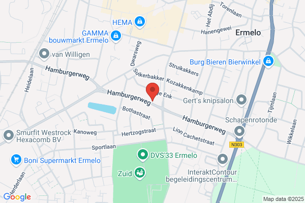 Zwaluwen, De