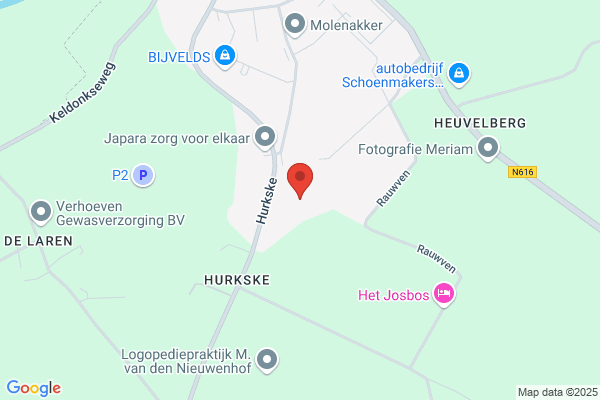 H Biemans