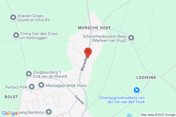 Financieël Adviesburo Erp