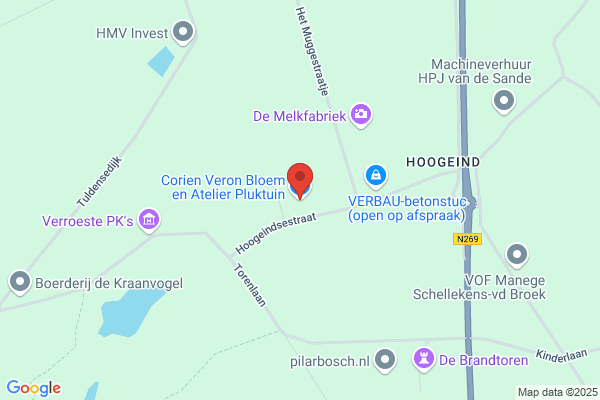 Corien Veron