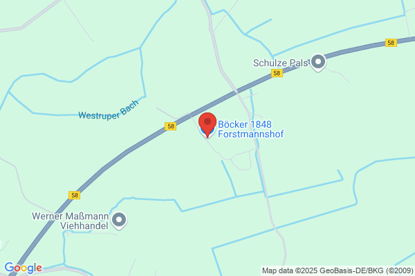 Boumans, A