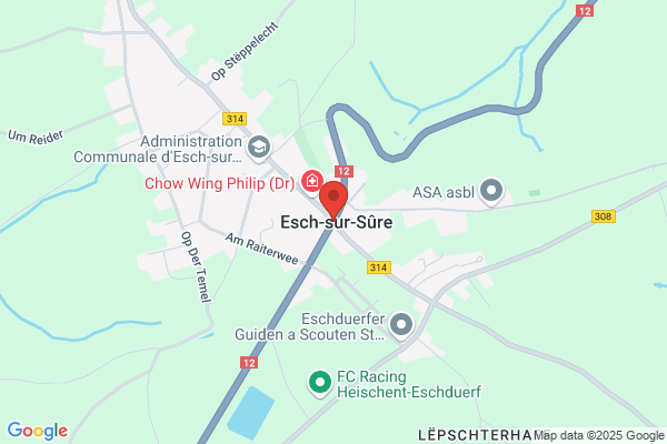 Hogendorf, P