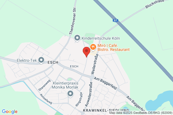 Janssen-Burg, G
