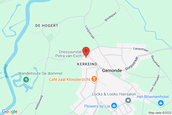 Renpaard, Het