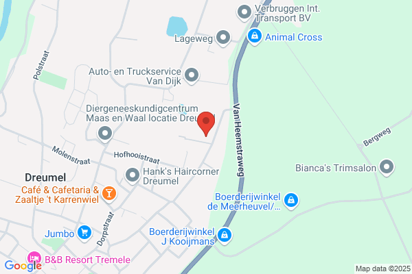 T M Van Oort