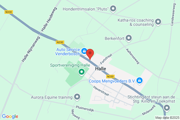 Steenen Vloer, De