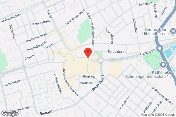 Jong, De