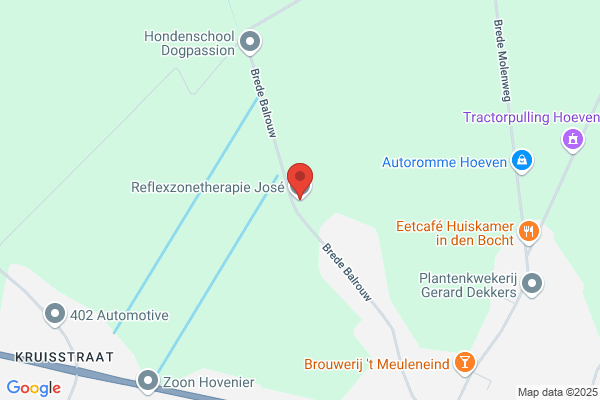 Vissenberg Van Veldhoven Reflexzonetherapie J