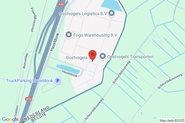 Oostvogels