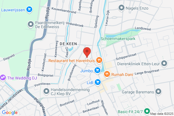 Zwaen, De