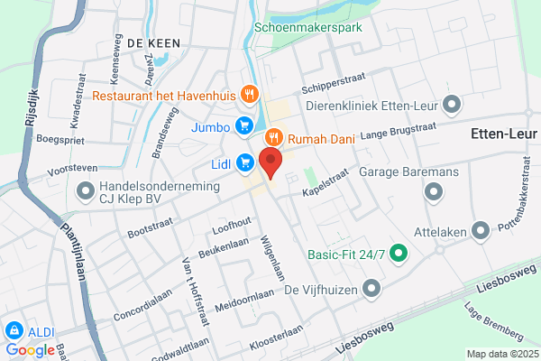 Dansschool Janeth Vriens