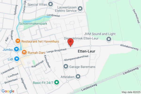 Dierenpolikliniek Leur