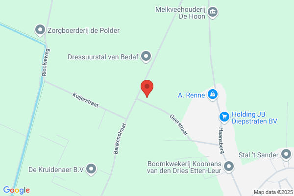 Management Consultants Bv