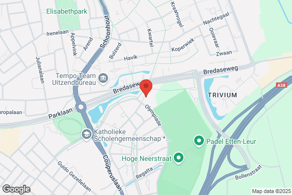 De Hooghe Neer