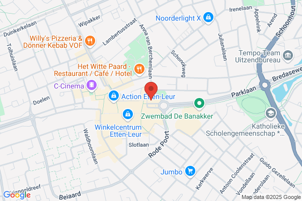 Geel Bv, Van