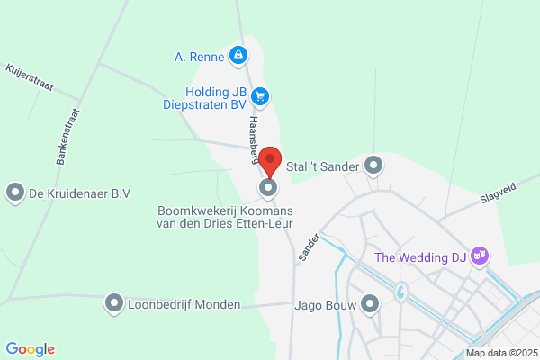 Voermans, Kees
