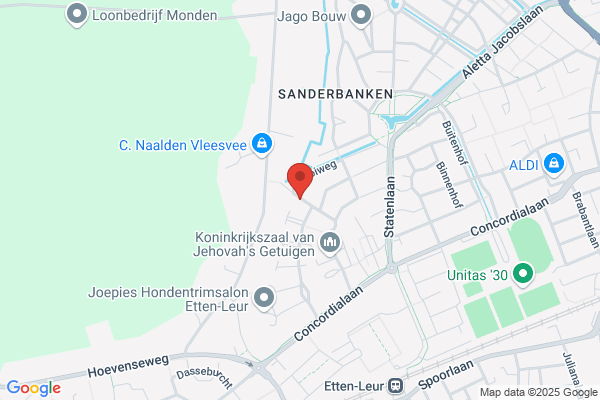 Rooze, Rineke