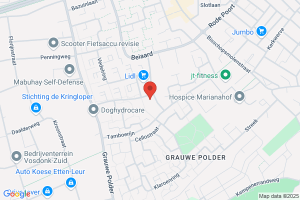 C D Nieuwenhoff-Kramp