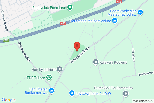 Koekoek, De