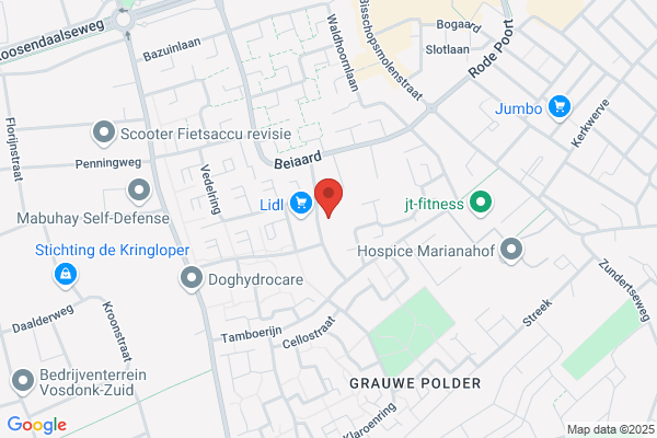 Panfluit, De