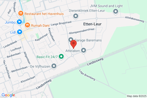 Rommens, E A M