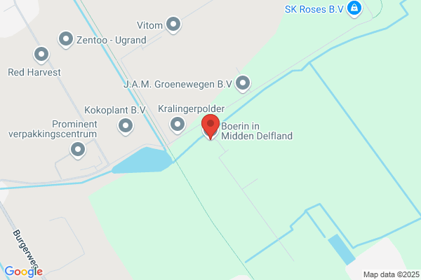 Boer, Den