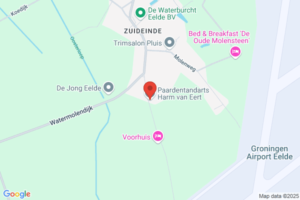 Paardentandarts