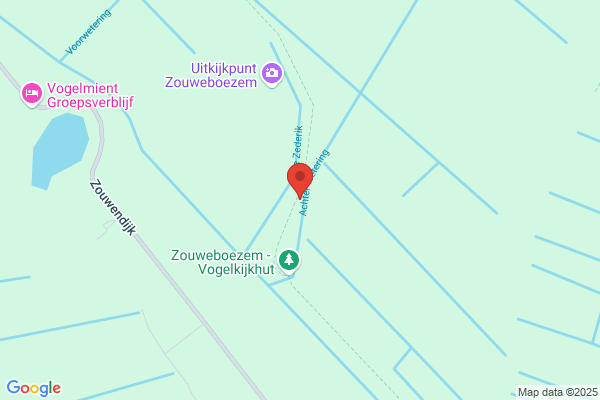 De Kikker Bv