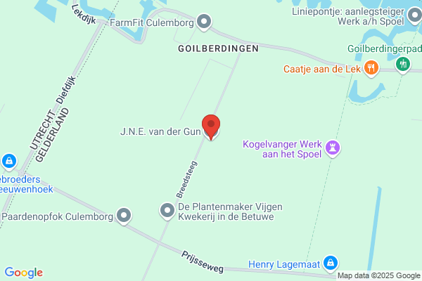 Gun, A Van Der