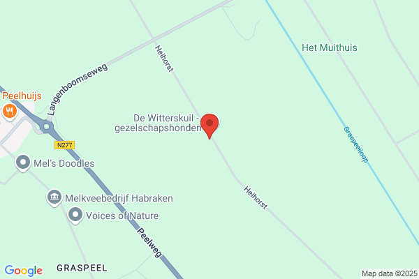 Dongen, J J A M Van