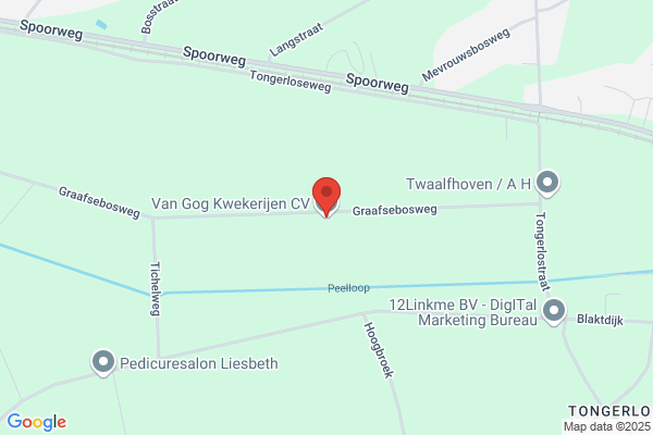 Groenewegen Horst Bv