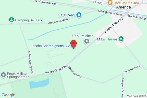 Janssen Champignons Bv