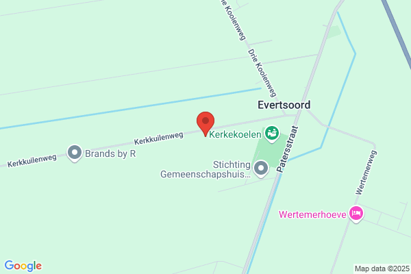 Professional Reiniger