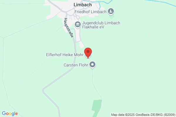H.J.J. Limbach