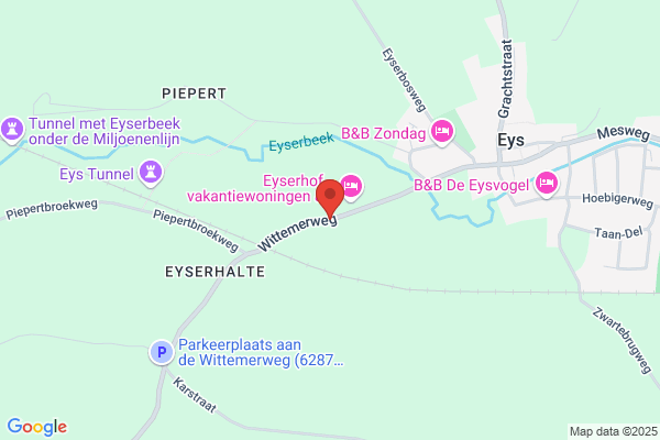 Muziekdagen, Sticht