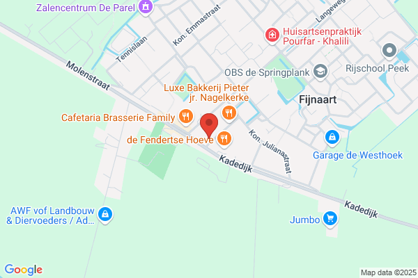 meeuwen overlast