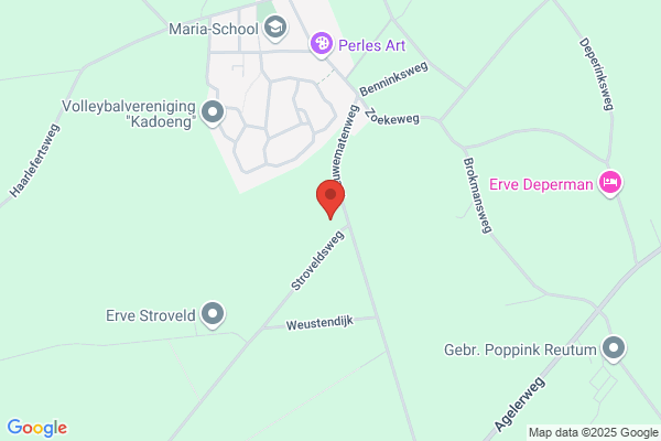Boomkwekerij Koen Morskieft