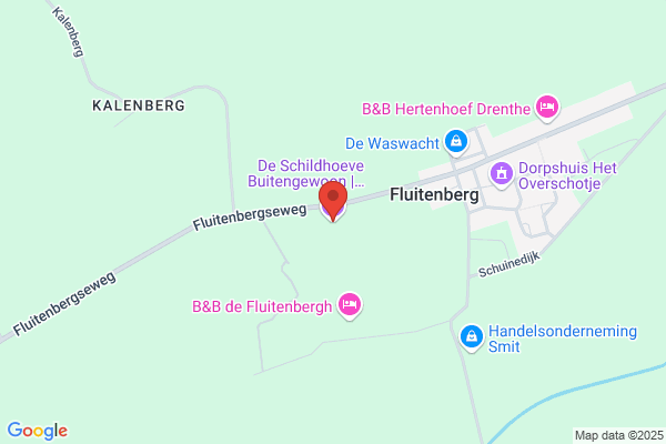 C.H. Wijngaard-Van Der Plas